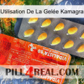 Utilisation De La Gelée Kamagra new01